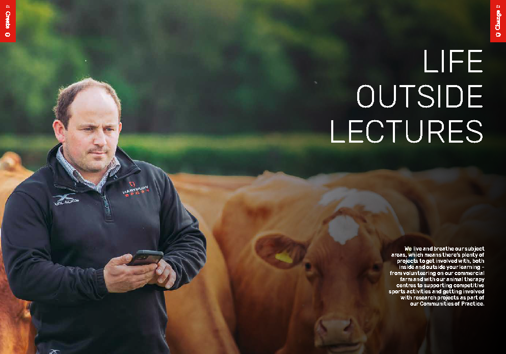 Hartpury University postgraduate prospectus page promoting life outside lectures showing a man with some cows collecting data on a mobile phone