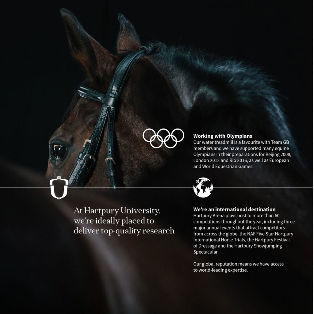 Hartpury University B2B Brochure. Includes photo of a horse.