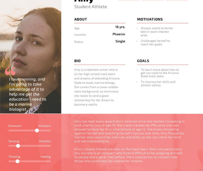 Customer persona graphic